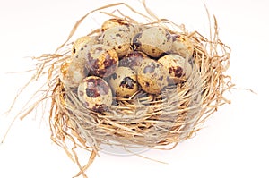 Quail eggs on a white background