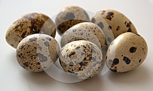 Quail eggs