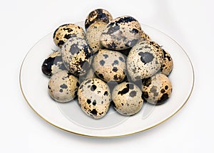 Quail eggs on white saucer