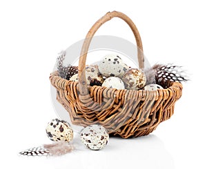 Quail eggs in a wicker basket