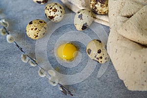 Quail eggs and willow branch with beige cloth