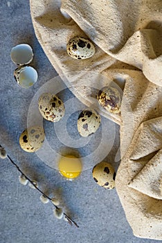 Quail eggs and willow branch with beige cloth