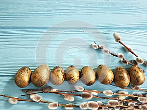 Quail eggs willow plant springtime happy easter blue wooden background