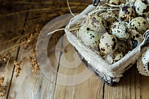 Quail eggs in wire basket with dry beige flowers on barn wood, Easter, farming