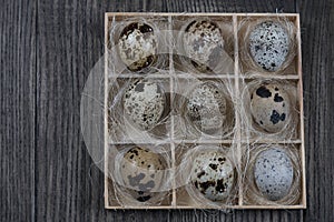 Quail eggs in wooden box on dark background.