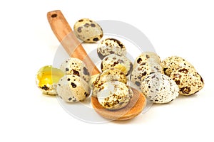 Quail eggs in a wooden spoon