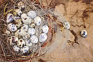 Quail eggs on a wooden table