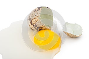 Quail eggs yolk protein