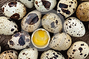 Quail eggs and yolk quail eggs without shell