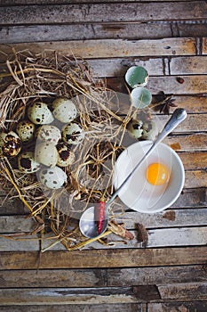 Quail nest with spotted eggs, spoon, broken egg on a plate