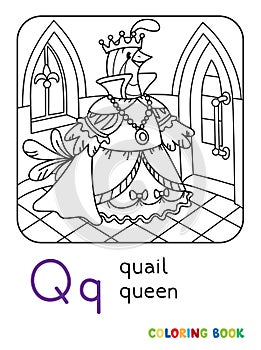 Quail queen ABC coloring book. Alphabet Q