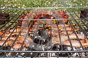 Quail Thighs and Beef Skewers on the Grill
