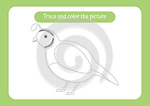 Quail. Trace and color the picture. Educational game for children. Handwriting and drawing practice. Nature theme activity for