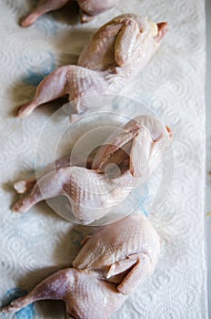 Quails draining on paper towel