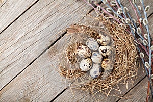 Quails eggs in nest on rustic wooden background