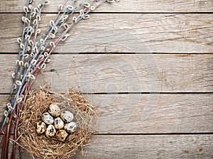 Quails eggs in nest on rustic wooden background