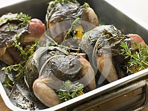 Quails Roasted in Vine Leaves with Lemon and Thyme