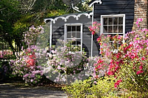 A quaint black building with spring flowers at the Magnolia Plantation and Gardens.