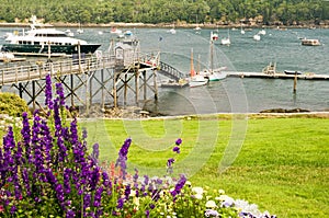 Quaint New England harbor photo