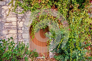 A quaint rounded wooden door in a stone house in France, decorated with ivy.