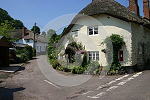 Quaint thatched cottage photo