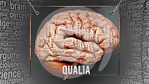 Qualia in human brain