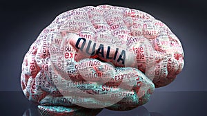 Qualia and a human brain