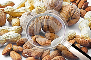 Quality control about dried fruit- HACCP Hazard Analyses and Critical Control Points concept image with peanuts, walnuts and