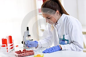 Quality control expert inspecting at food specimen