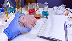 Quality control expert inspecting at meat products in the laboratory