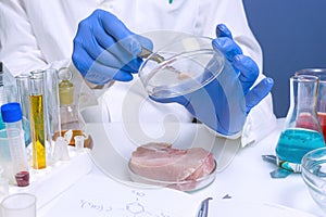 Quality control expert inspecting at meat products in the laboratory