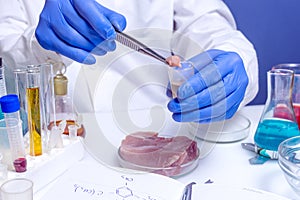 Quality control expert inspecting at meat products in the laboratory