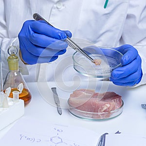 Quality control expert inspecting at meat products in the laboratory
