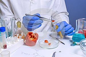 Quality control food safety inspector working in a laboratory