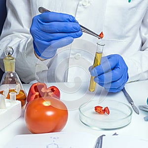Quality control food safety inspector working in a laboratory