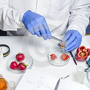 Quality control food safety inspector working in a laboratory