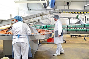 quality control in a meat processing plant - production of sausages in a factory