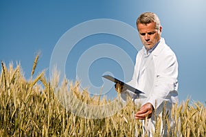 Quality control in wheat field