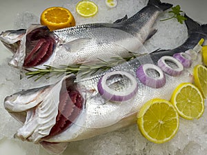 Black Sea region sea bass fish