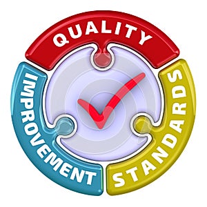 Quality improvement standards. The check mark in the form of a puzzle