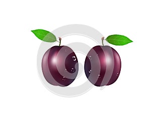 Quality realistic vector plum collection. Purple plums with water drops isolated on white background.