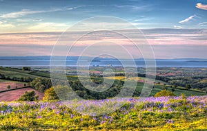 Quantock Hills Somerset view to Hinkley Point Nuclear Power Stationwith bluebell flowers