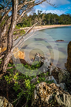 Quarantien bay in Eden on a sunny summer day