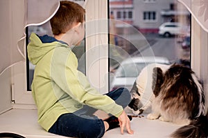 During the quarantine, the Child sits on the window. and the Maine Coon cat. He looks at the empty street. Apocalypse