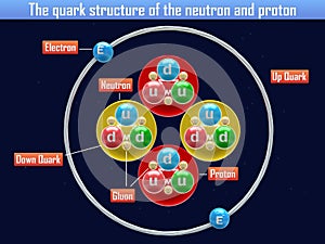 The quark structure of the neutron and proton