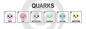 Quarks, strange, charm, up, down, top, bottom, quark types found by Hadron collider at CERN