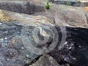 Quarry for the extraction of multi-colored clay
