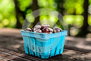 Quart Container of Chestnuts Copyspace photo