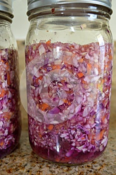 Quart Jar Cultured Red and Green Cabbage and Carrots