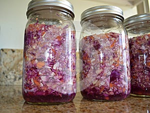 Quart Jars Fermented Red and Green Cabbage and Carrots